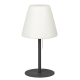 Lampadar LIDA 8658