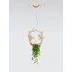 Lustra VOA UTOPIA & NEST SMALL CT3442/2