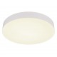 Plafoniera MATTHEW 12384-24W