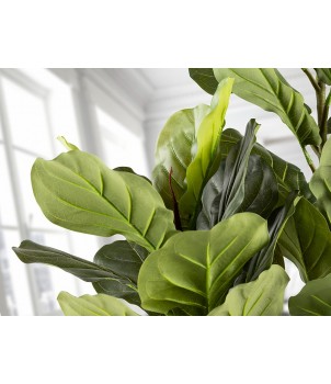 Planta Decorativa HIGUERA VIOLIN 281232