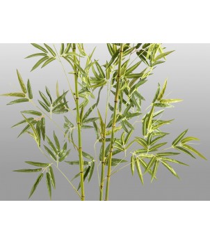 Planta Decorativa BAMBU 291910