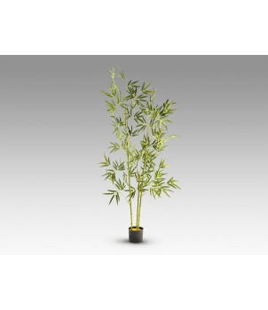Planta Decorativa BAMBU 291910