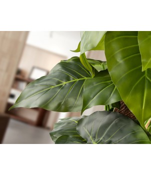 Planta Decorativa TARO 281126