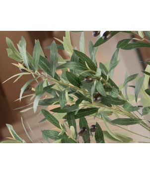 Planta Decorativa OLIVO 281881