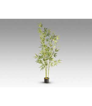 Planta Decorativa BAMBU 291910