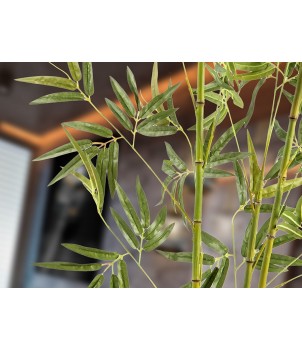 Planta Decorativa BAMBU 291910