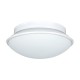 Plafoniera DOLLY 31088