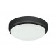 Plafoniera HORT 7407